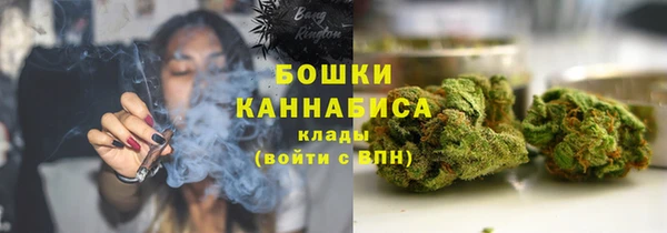 крисы Верея
