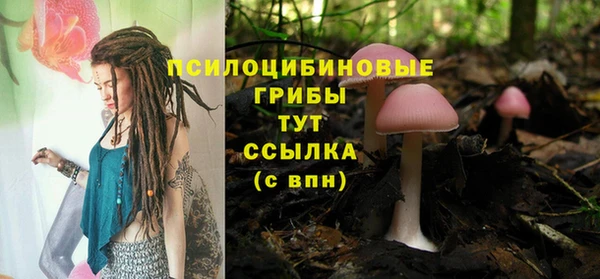 ешки Бугульма