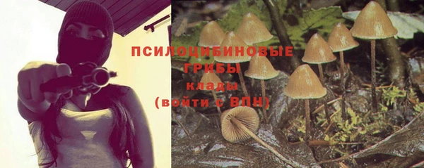 кокаин Бородино
