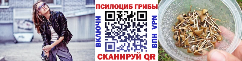Галлюциногенные грибы Psilocybine cubensis  Гаврилов-Ям 
